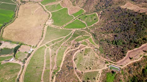 toma de arriba hacia abajo de múltiples viñedos en la región del valle de cachapoal en chile.