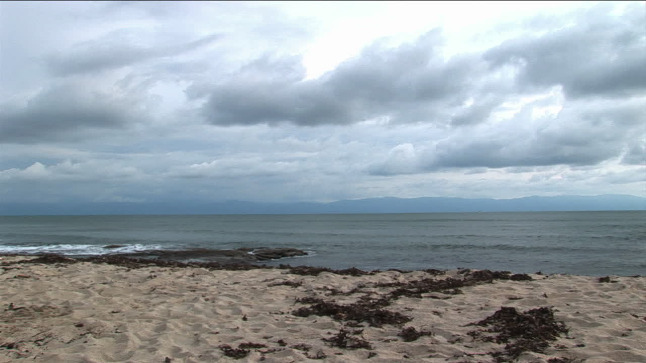 las tablas de surf están apoyadas contra una estructura de rama de palma