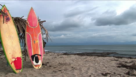 Las-Tablas-De-Surf-Están-Apoyadas-Contra-Una-Estructura-De-Rama-De-Palma.