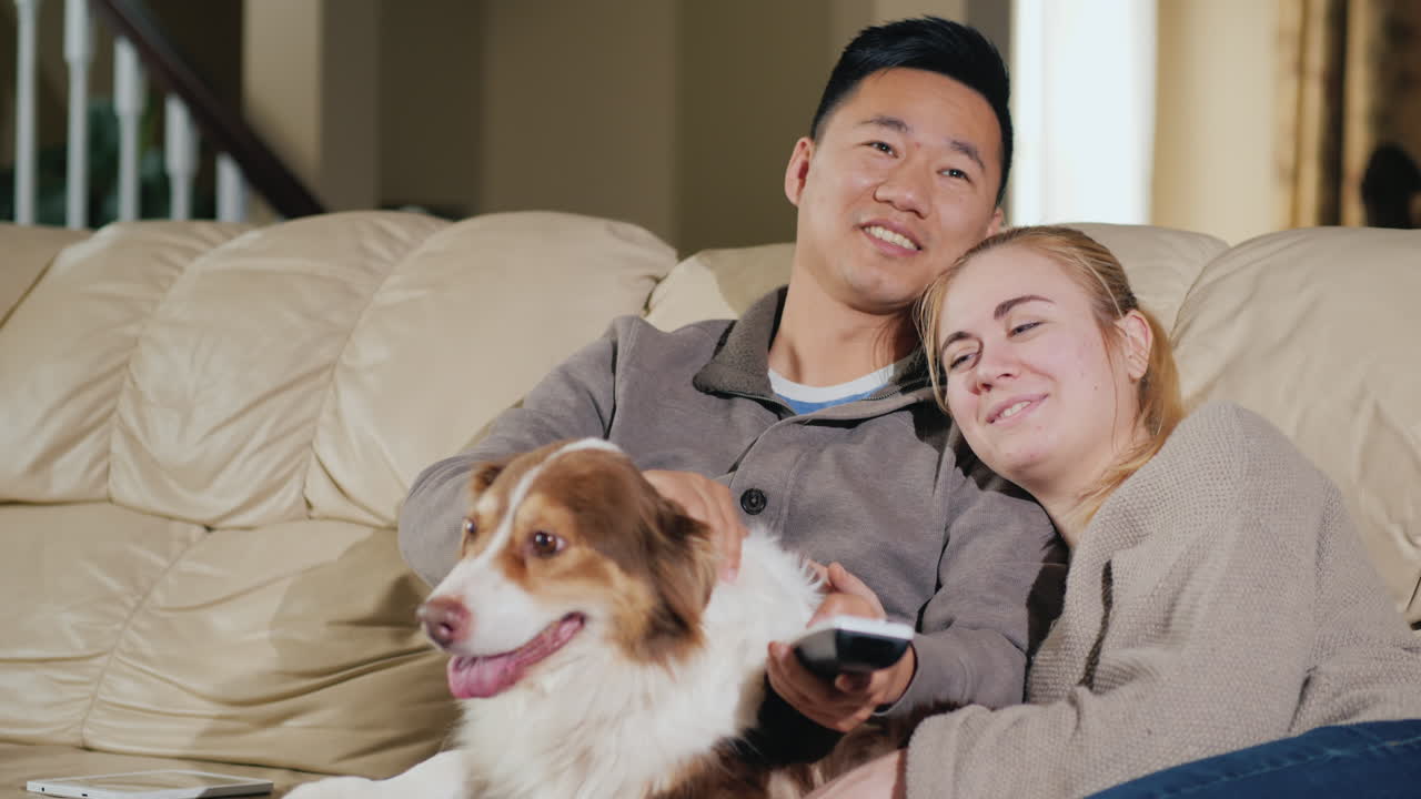 강아지와 함께 젊은 사랑의 부부는 tv를 보면서 소파에 앉아