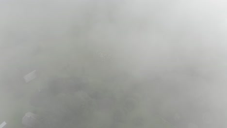 mirando hacia abajo a un rebaño de ovejas a través de la niebla espesa