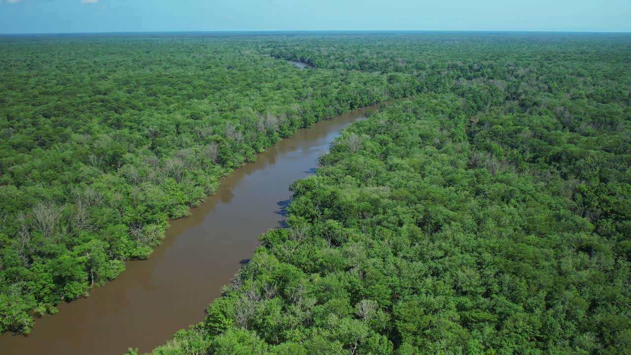 플로리다의 몇 킬로미터의 원시 숲을 보여주는 공중 촬영