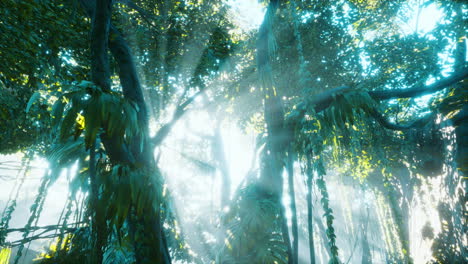 Morgenlicht-Im-Wunderschönen-Dschungelgarten