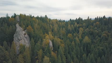 Impresionante-Toma-De-Drones-De-Las-Colinas-De-Las-Montañas-En-El-Bosque.-Otoño.-Vista-Aérea