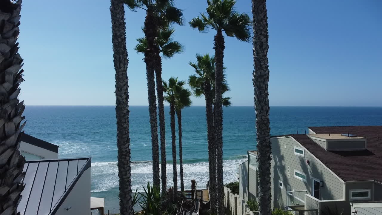 공중 촬영 - 나무에서 바다까지