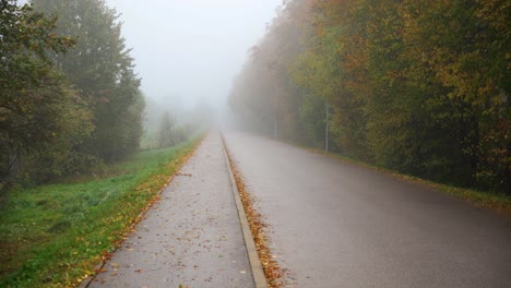 shot of asphalt road passing through park with vibrant and colorful trees with dense fog in the background at sunrise in autumn