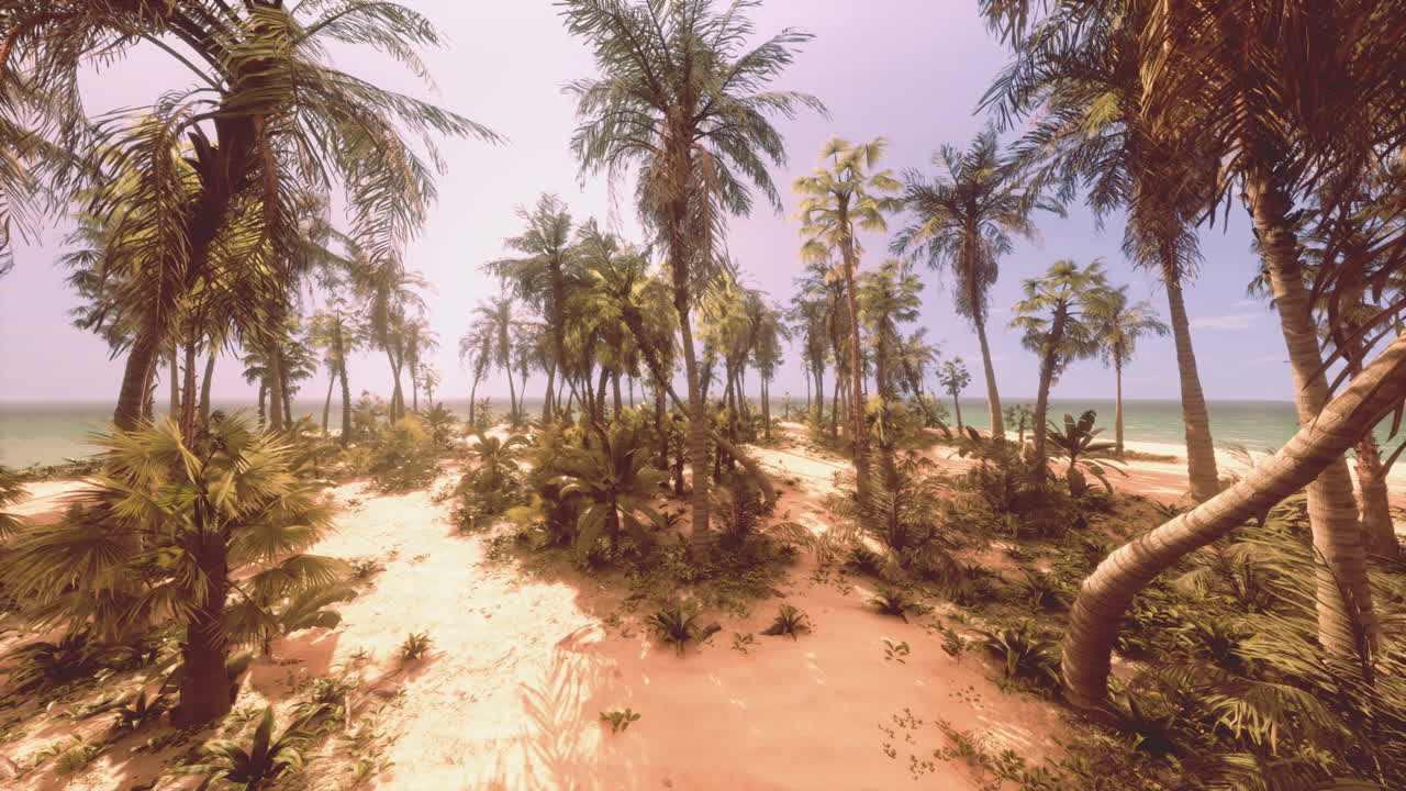 종려나무 가 있는 아름다운 열대 해변