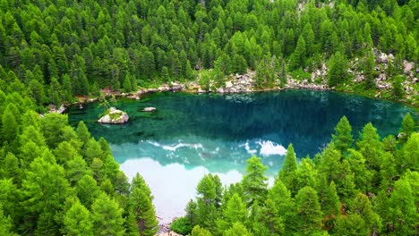 blue lake with transparent water. beautiful water of the lago di saoseo in switzerland in the middle of by green trees 4k