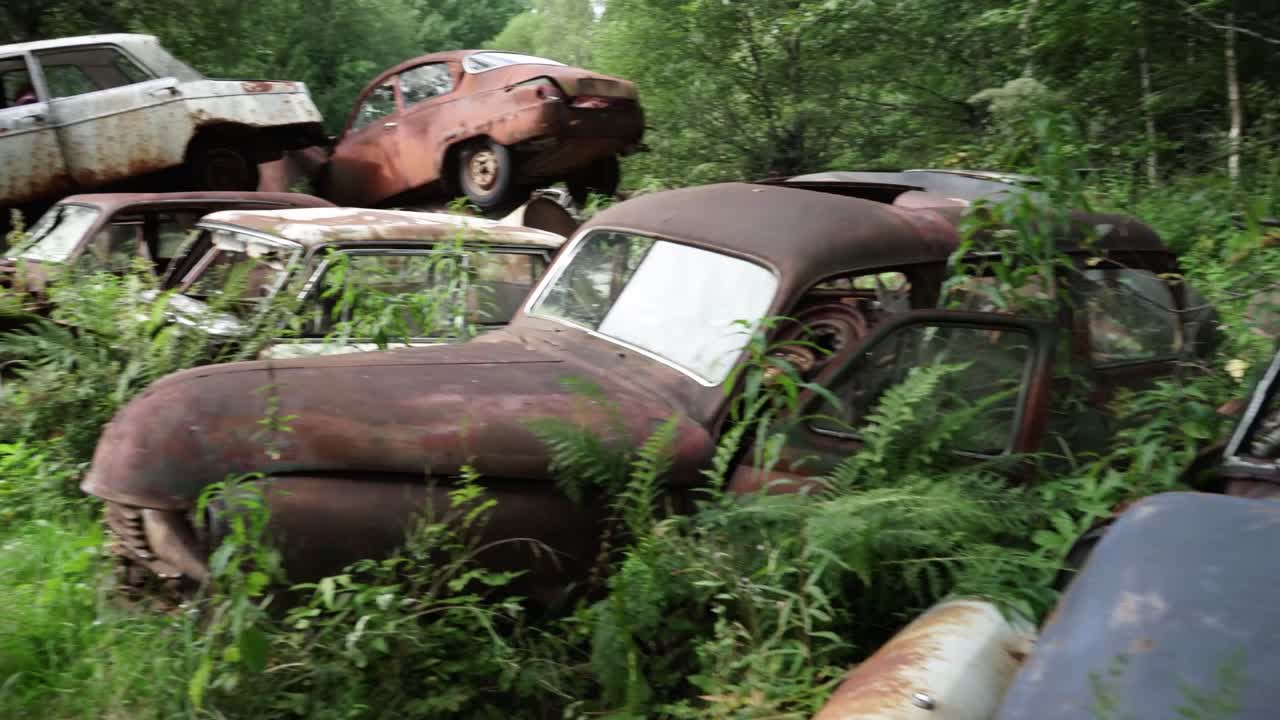 Un cementerio de coches en medio de un bosque