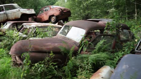 un cementerio de autos en medio de un bosque