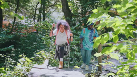 couple hiking in a forest on a wooden bridge