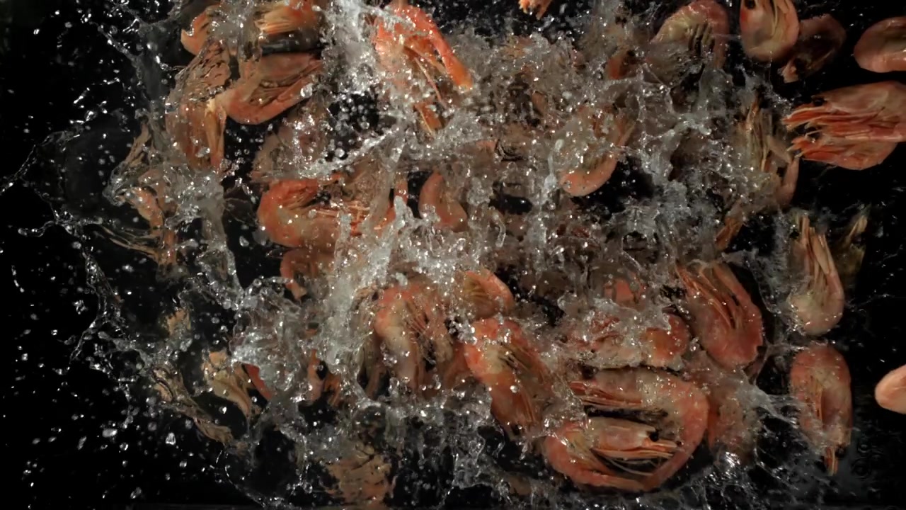 Slow Motion of Cooked Shrimps Splashing in Water