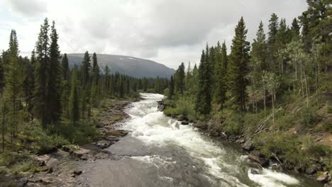 aerial footage of a remote rapid river flying up the river through the trees to reveal mountains in the background