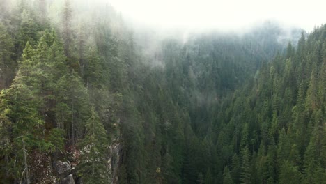 Establishing-flight-through-a-remote-misty-canyon