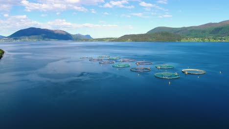 Aerial-footage-Farm-salmon-fishing-in-Norway