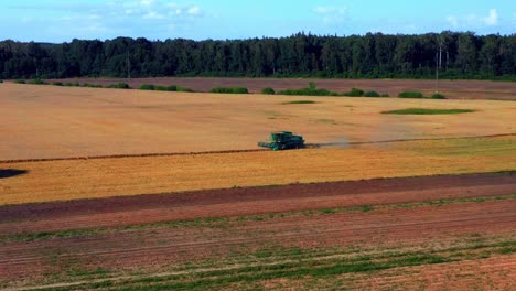 flying towards farm tractor harvesting golden wheat crops during harvest season