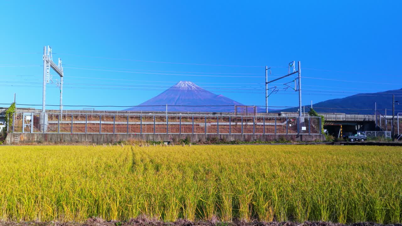 Rural Japan, Field of Rice in Autumn with Mt Fuji, Kei Trucks Passing Background