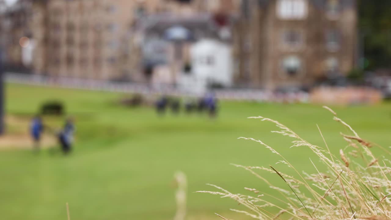 골퍼 들 이 초록색 필드 에서 고 있다