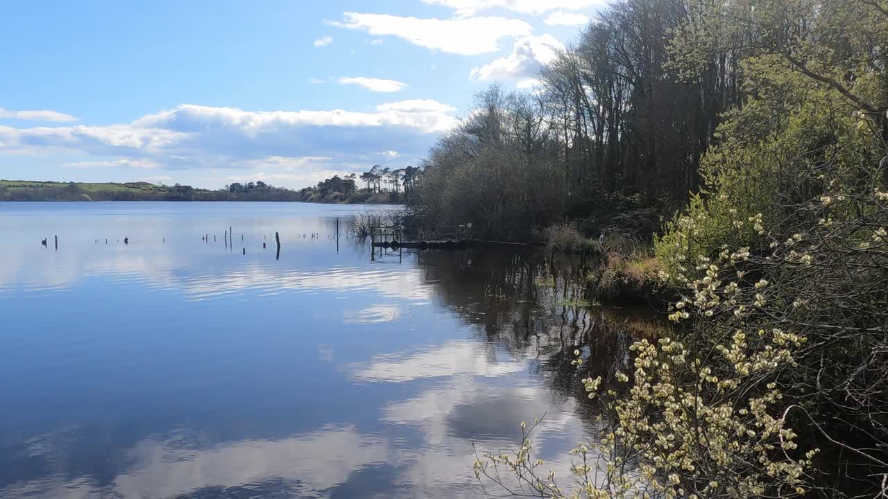 Reflections on a lake in early spring in Waterford Ireland calming