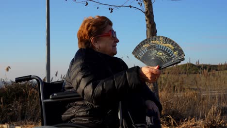 old woman in wheelchair smiling while fanning herself in a sunny park scene