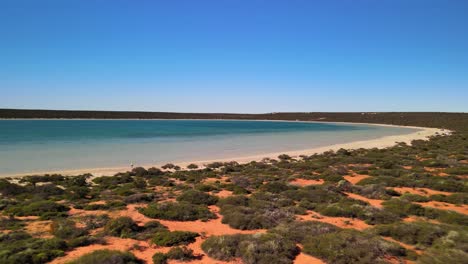 lago vibrante, pequeña laguna ubicada en dinamarca, australia occidental