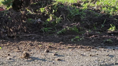 super slow motion of soil being dig up and thrown away in the garden