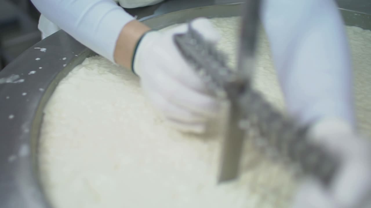 Cheese Making Process in a Factory
