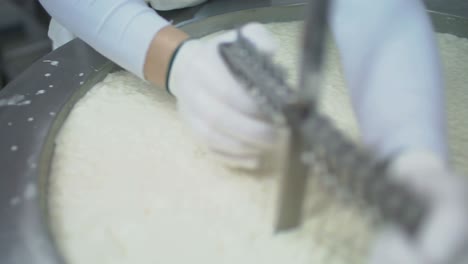 cheese making process in a factory