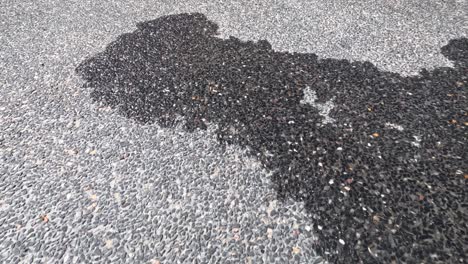 water puddle drying on asphalt surface.