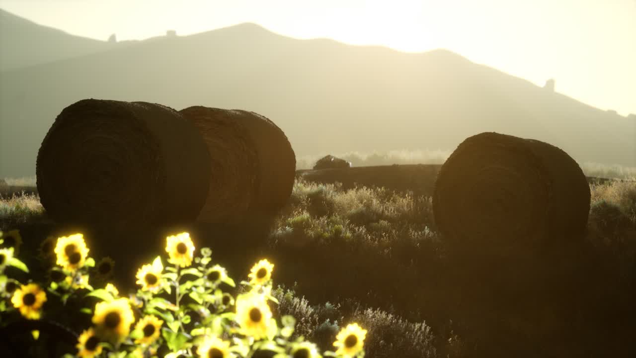 해가 지는 동안  ⁇   ⁇ 어리