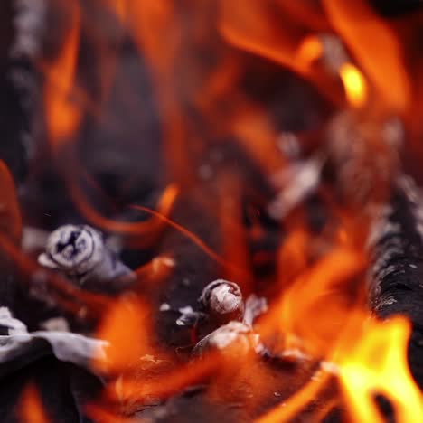 fire burning in grill. real fireplace full of wood and fire. beautiful motion of vivid fire flame over the wooden logs. charcoals in bright fire. slow motion.