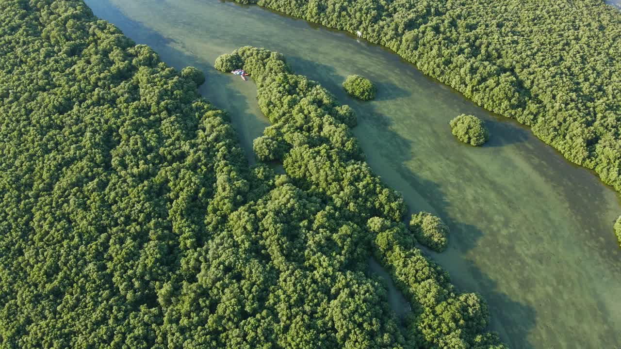 ajman city와 ajman mangroves 카약의 최고 전망, ajman의 두꺼운 천연 맹그로브는 아랍 에미레이트의 102종이 넘는 토착 조류와 철새의 서식지입니다. 4k 영상