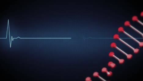 animación de una cadena de adn girando con el escaneo del monitor de ritmo cardíaco en el fondo