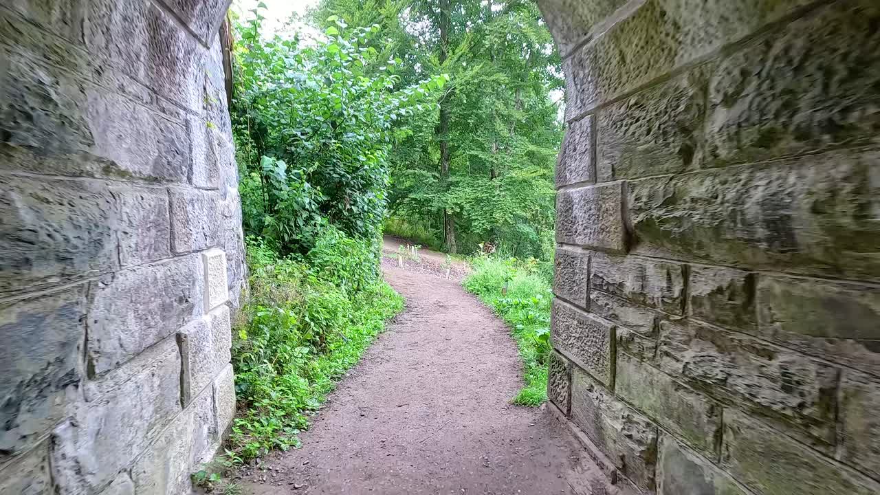 울창 한 초록색 으로 이어지는 터널 을 가로질러 가는 길