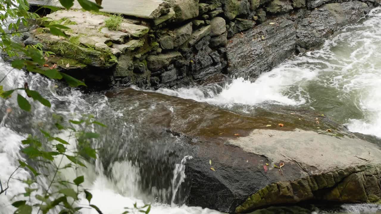 cascada cerca del puente cubierto, molino de thomas en el arroyo wissahickon