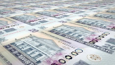 billetes de veinte dólares surinameses de surinam, dinero en efectivo, bucle