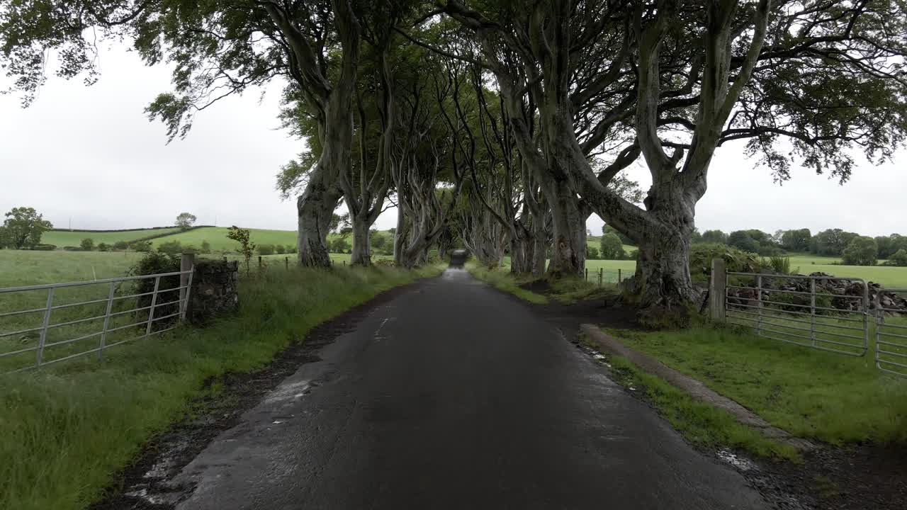 Drone shot of the Game of Thrones road in Northern Ireland.