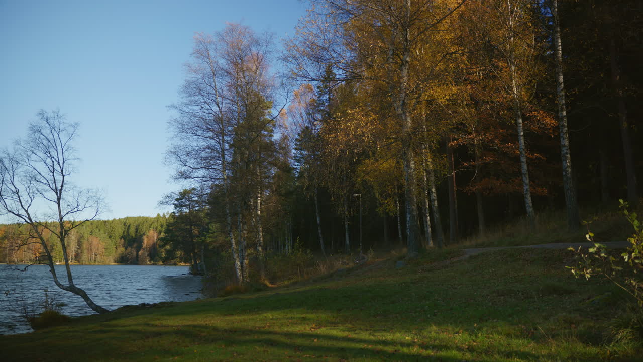 Immagine grandangolare di alberi con foglie gialle sul bordo di un lago a Oslo, in Norvegia