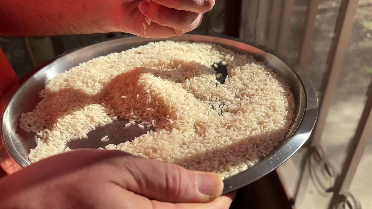 Pick over and cleaning rice debris dust in steel platter dish sorting winnowing and sieving chaff local manual of harvest in paddy field basket countryside farmer rural Asian culture traditional woman