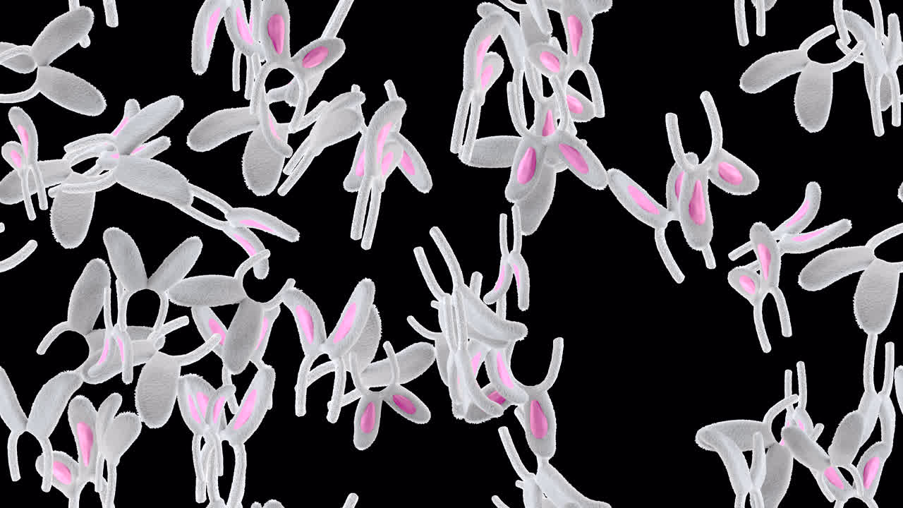 토끼 귀 부활절 루프 타일 알파와 함께 회전