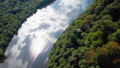 aerial view of river flowing through lush forest
