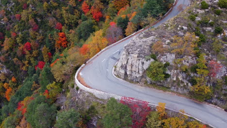 aerial view of mountains and colorful trees