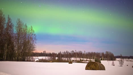 Toma-En-ángulo-Bajo-De-Hermosas-Luces-Del-Norte,-Aurora-Boreal-En-Exhibición-Completa-En-Timelapse-Sobre-Campos-Agrícolas-Blancos-Cubiertos-De-Nieve-Con-Fardos-De-Heno,-Iluminados-Por-Luna-Llena