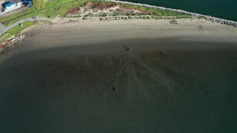 Laufende-Hunde-Im-Wasser-über-Den-Strand-Und-Den-Gehweg-Der-Bucht