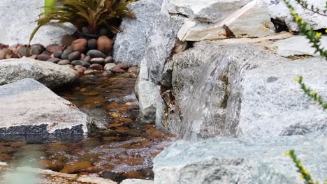 small waterfall flowing over rocks