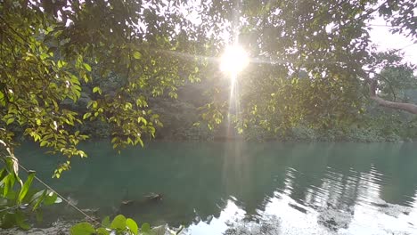 Morning-sunlight-shining-through-a-jungle-lake