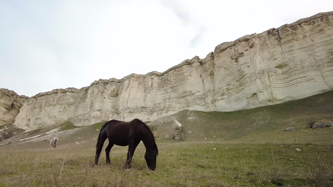 experimente la grandeza de crimea mientras se sumerge en la vista de los caballos que pastan por el acantilado blanco en este video, encarnando la belleza natural y la tranquilidad