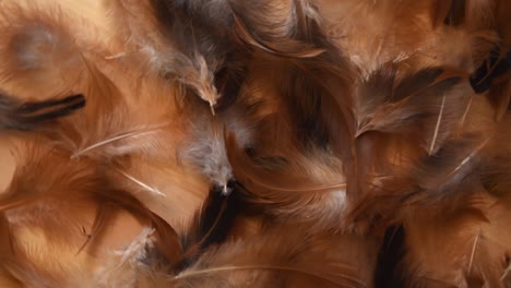 top view of a minimal background rotating, with soft and fluffy white, brown and black feathers, near some stones, on a light wooden background