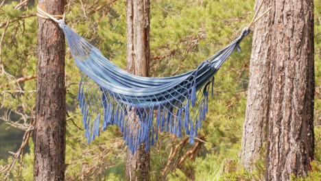 Hammock-vacation-in-a-forest.
