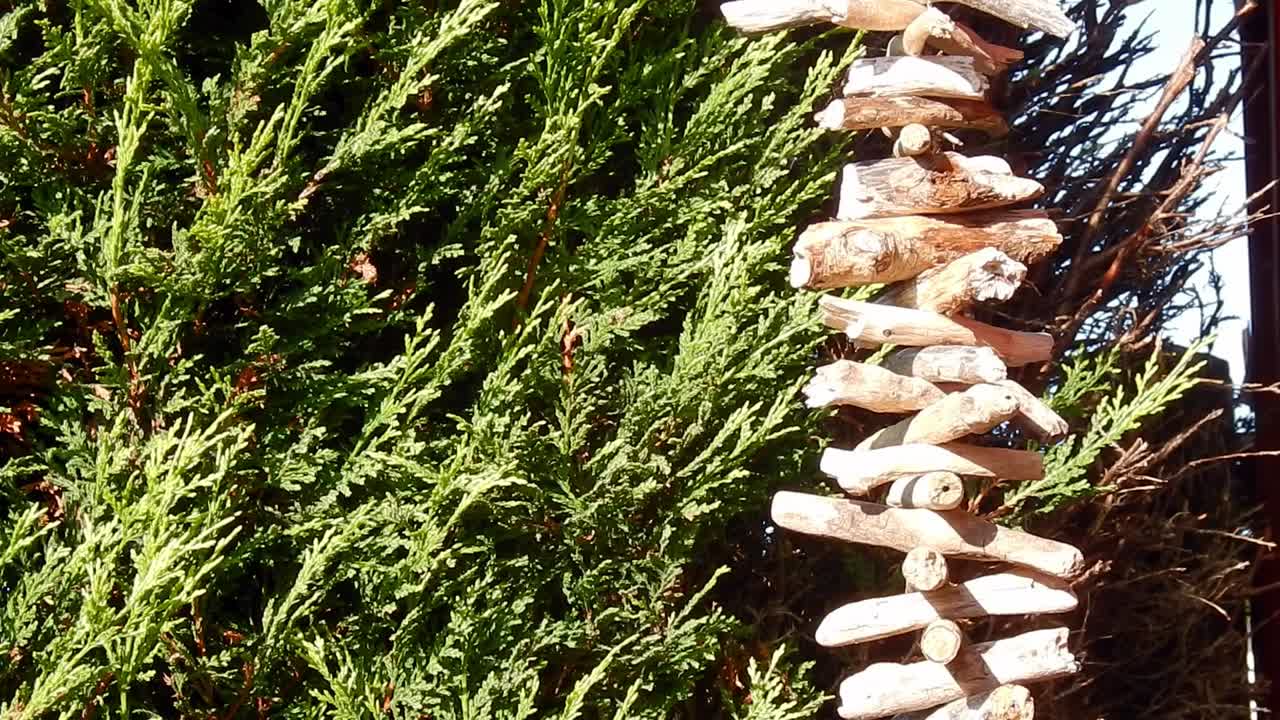 햇볕이 잘 드는 정원에서 손으로 만든 바이킹 교수형 발할라 사다리 유목 화환 장식